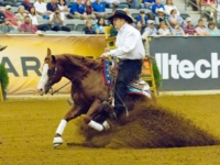 U.S. Reining Team and Individual Gold Medalist Tom McCutcheon and Gunners Special Nite at the 2010 World Equestrian Games, Lexington, USA. Photo by Susan J. Stickle U.S. Reining Team and Individual Gold Medalist Tom McCutcheon and Gunners Special Nite at the 2010 World Equestrian Games, Lexington, USA. Photo by Susan J. Stickle