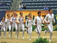 U.S. Vaulting Team Medalists Devon Maitozo, Rosalind
Ross, Annalise VanVranken, Mary Garrett, Mari Inouye, Emily Addison
Hogye and Karly Frankel-Newman at the 2010 World Equestrian Games, Lexington, USA. Photo by Phelps Media Group U.S. Vaulting Team Medalists Devon Maitozo, Rosalind Ross, Annalise VanVranken, Mary Garrett, Mari Inouye, Emily Addison Hogye and Karly Frankel-Newman at the 2010 World Equestrian Games, Lexington, USA. Photo by Phelps Media Group