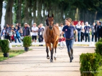U.S. Jumping Team member Karl Cook and Caracole de la Roque at the first inspection for the 2024 Paris Olympic Games. Photo by Shannon Brinkman U.S. Jumping Team member Karl Cook and Caracole de la Roque at the first inspection for the 2024 Paris Olympic Games. Photo by Shannon Brinkman